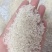 25年稻谷莉优鱼翅，价格美丽