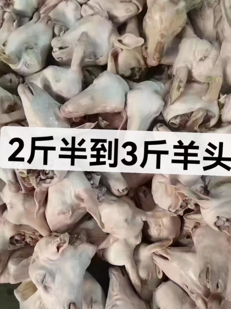 清真羊头货好价优