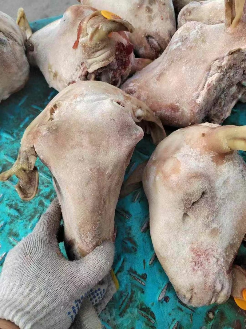 清真羊头货好价优