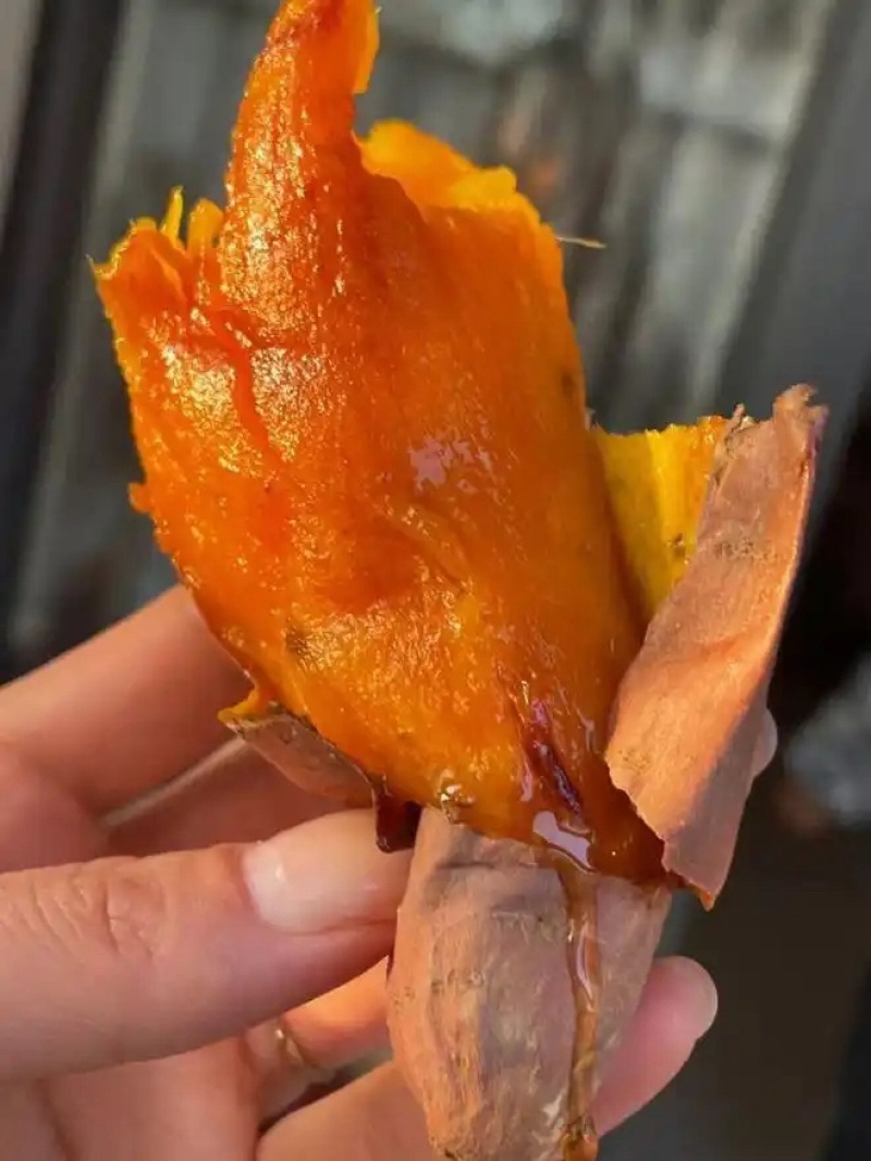 安丘精品红薯蜜薯地瓜已大量上市对接电商质量好价格美丽