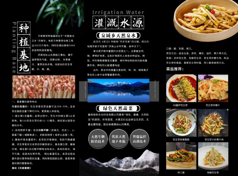 精品花生芽嫩白脆甜无农残检测证件条码各项齐全