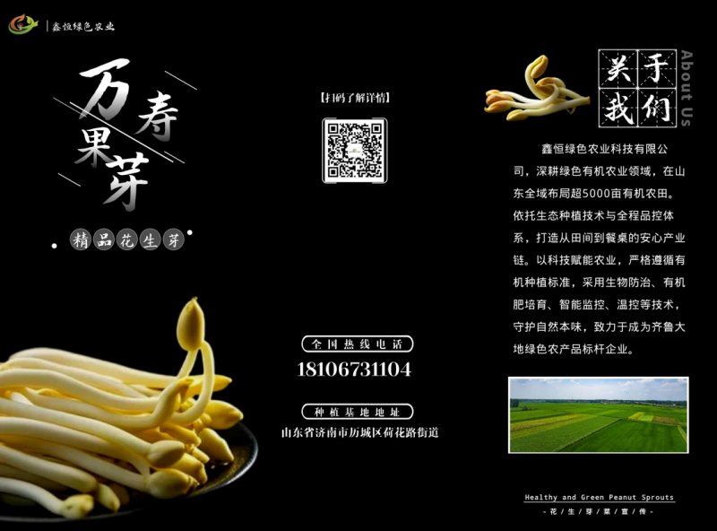 精品花生芽嫩白脆甜无农残检测证件条码各项齐全