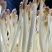 精品花生芽嫩白脆甜无农残检测证件条码各项齐全