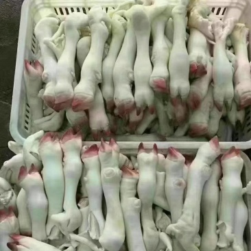 羊蹄货好