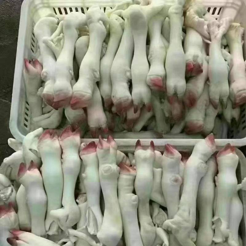 羊蹄货好
