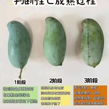 零卖现摘现卖