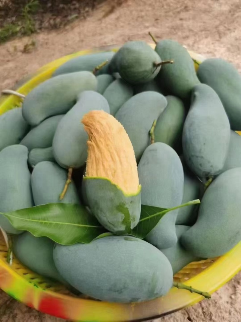 零卖现摘现卖