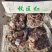 熟羊肉