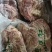 熟羊肉