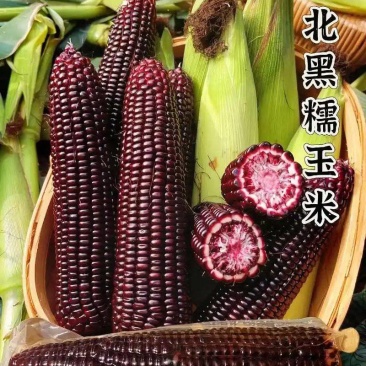 黑糯玉米