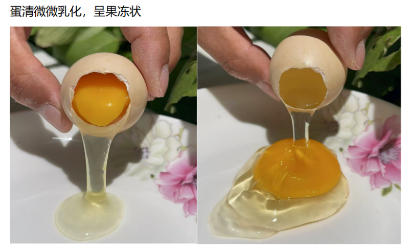山东潍坊市安丘市榛子林下散养土鸡蛋***********