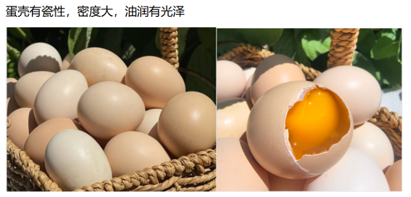 山东潍坊市安丘市榛子林下散养土鸡蛋***********