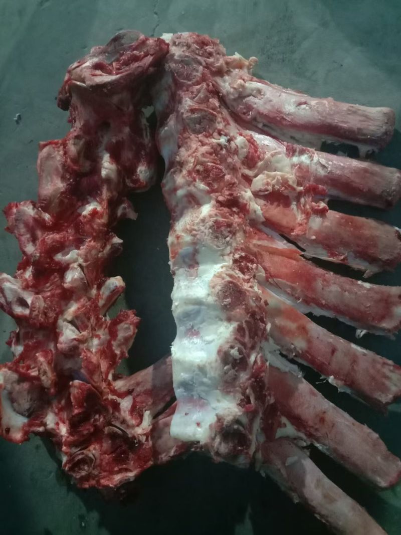 不带肉脊骨脖骨
