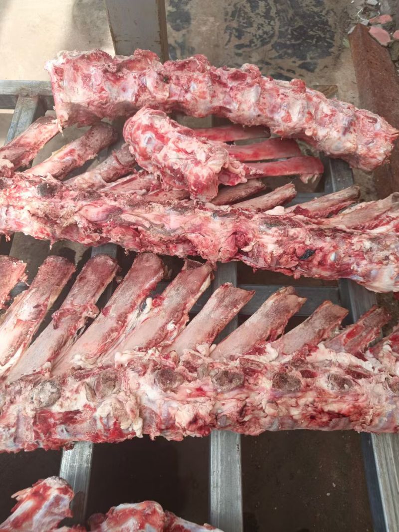 不带肉脊骨脖骨