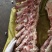 不带肉脊骨