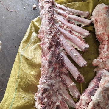 不带肉脊骨