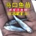 全雄马口鱼苗一手货源基地直销鱼苗健康提供技术指导