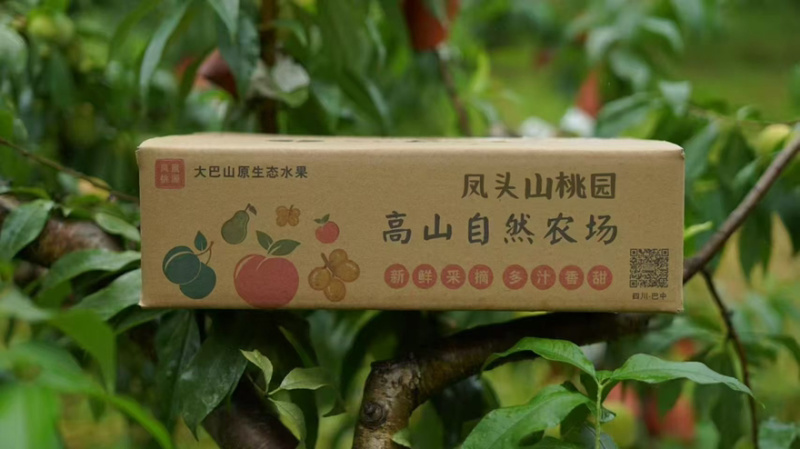 巴中晚湖景水蜜桃产地直销巴中凤头山桃园