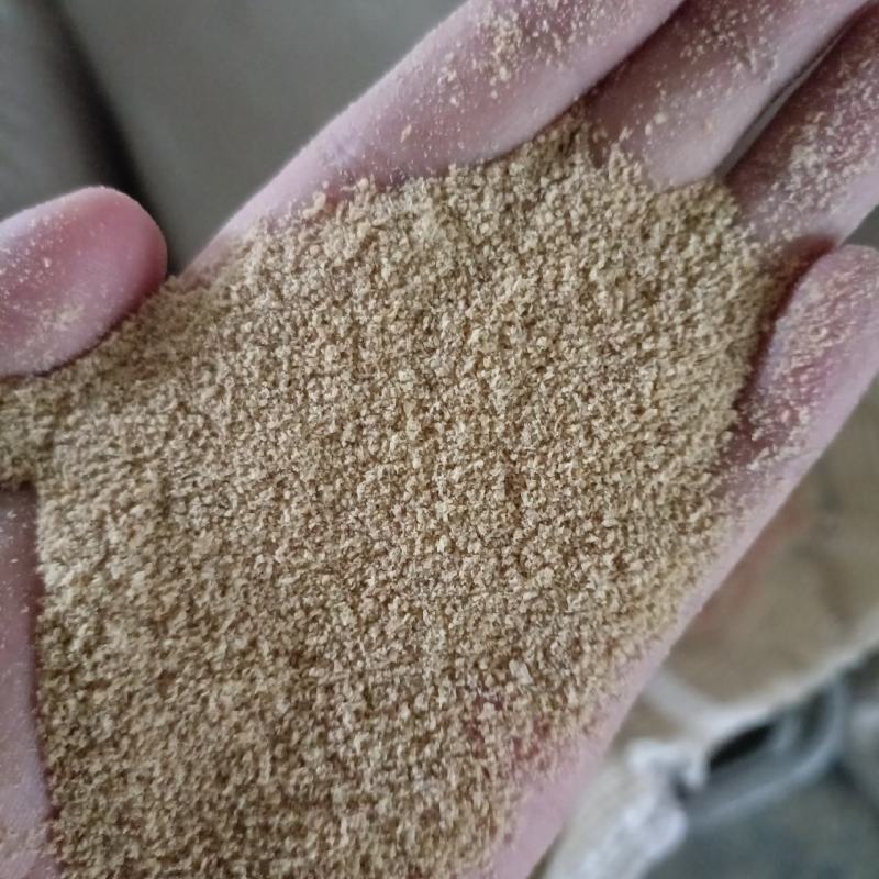 小麦胚芽膨化胚芽蛋白27水分6脂肪9大量出货