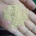 小麦胚芽膨化胚芽蛋白27水分6脂肪9大量出货