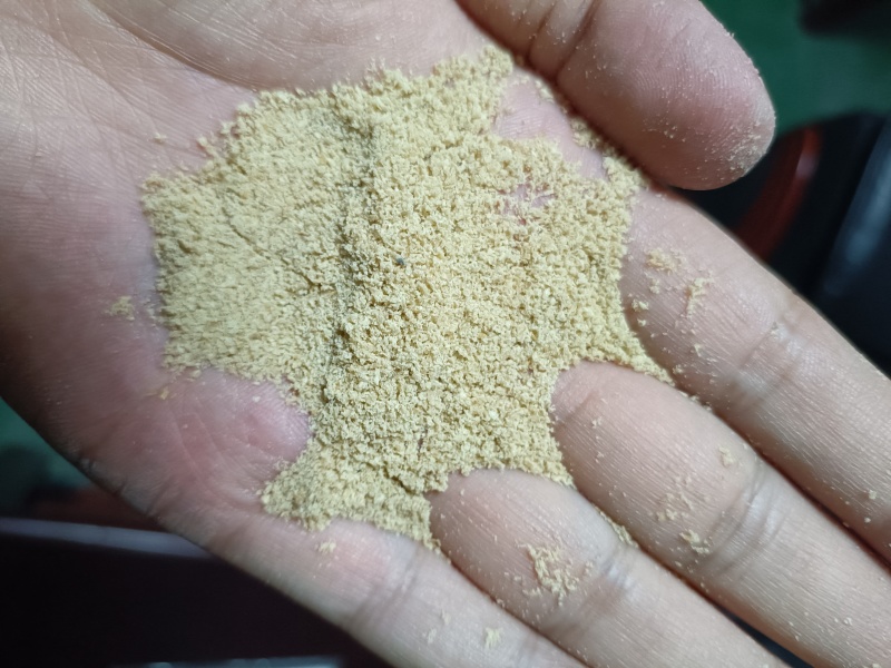 小麦胚芽膨化胚芽蛋白27水分6脂肪9大量出货