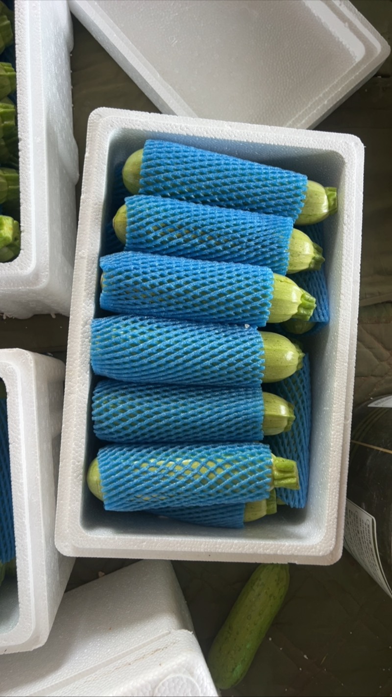 西葫芦