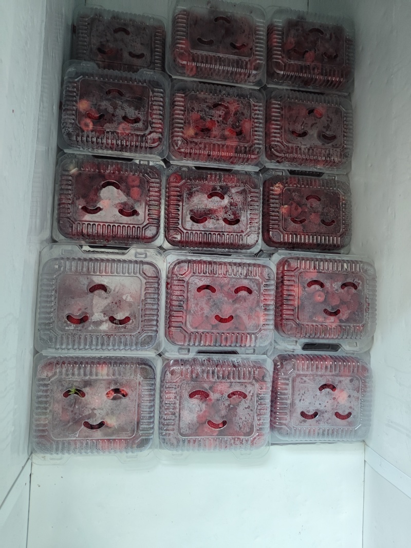 树莓冻果
