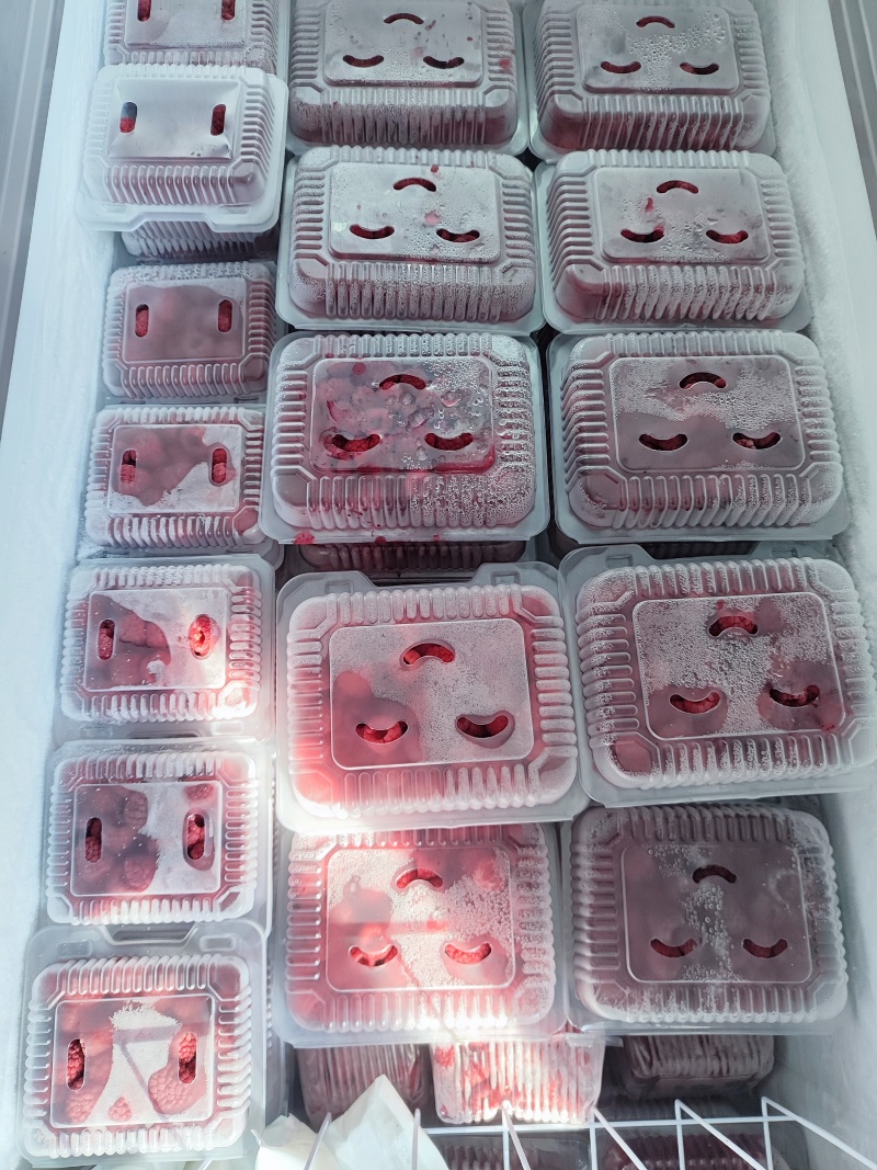 树莓冻果
