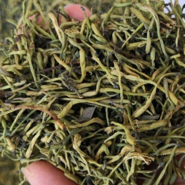 山银花绿化选货2斤起包邮量大从优