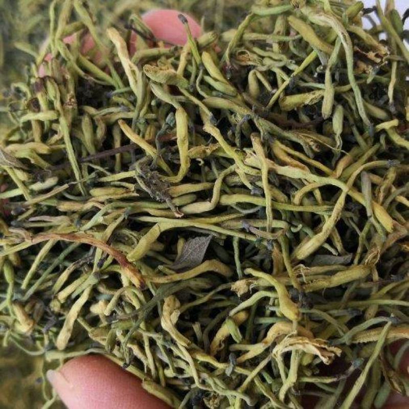 山银花绿化选货2斤起包邮量大从优