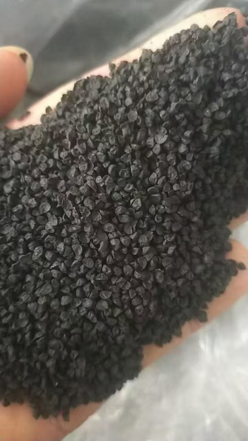 金乡二红洋葱种子产地直供全国发货量大从优支持视频看货欢迎