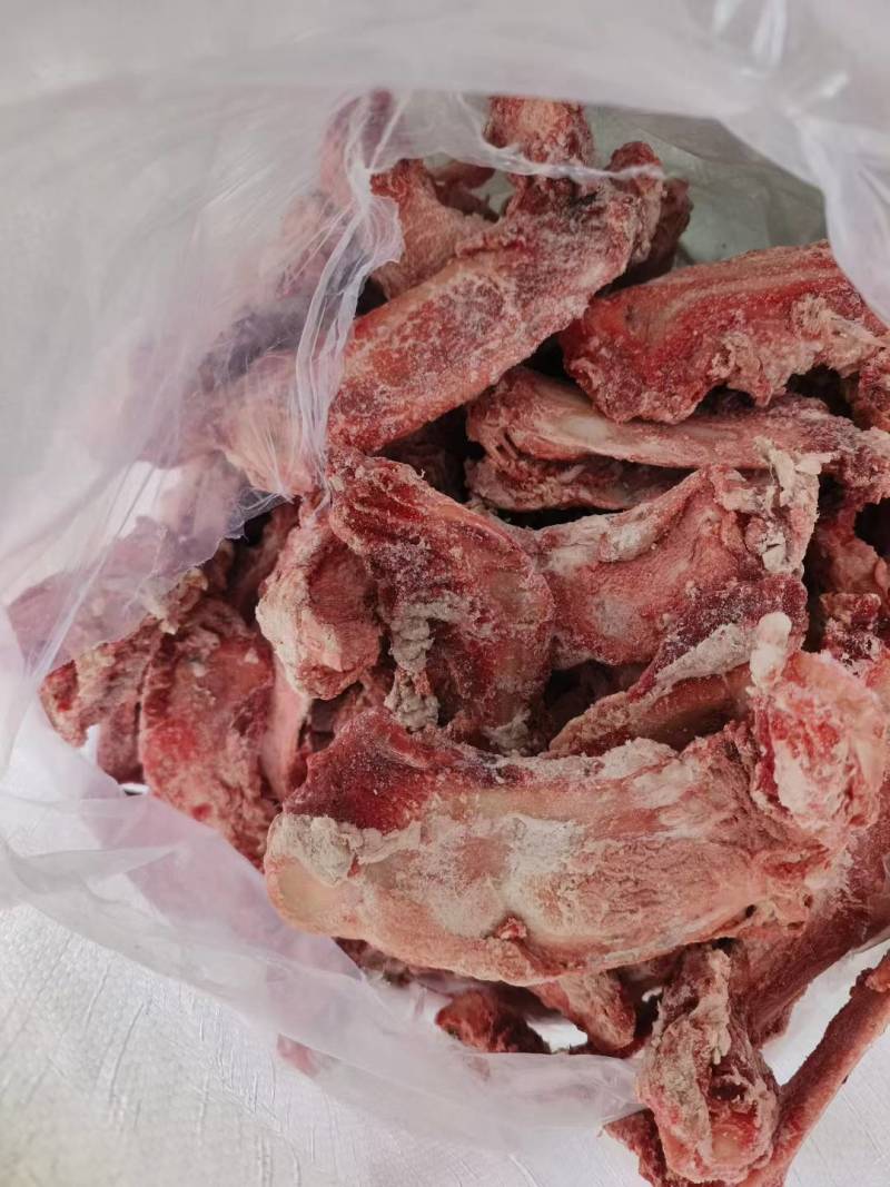 篦子骨