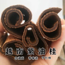 中药材越南高山紫油桂含油量高无硫品质好可泡水可食用药性好