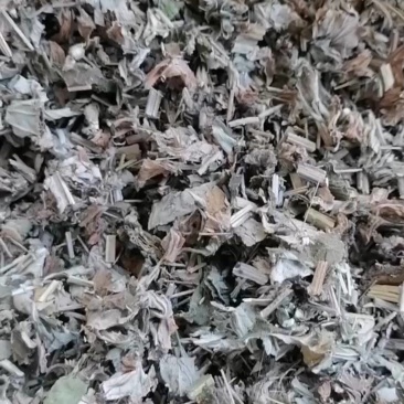 艾段全棵切片泡澡泡脚实惠大包装欢迎各大厂