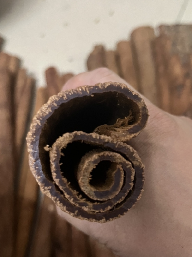 中药材越南高山紫油桂含油量高无硫品质好可泡水可食用药性好