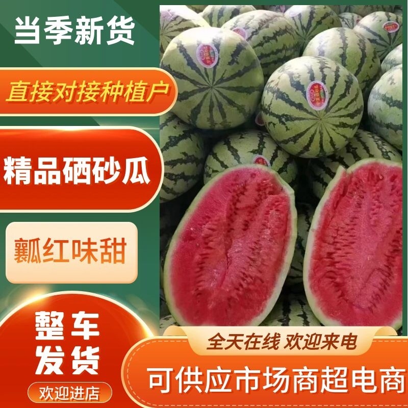 硒砂瓜，石头瓜一手货源，产地直销，对接全国