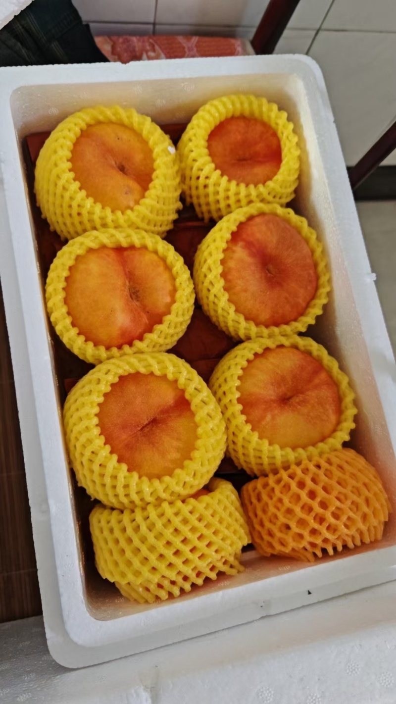 精品油蟠九，超甜大果，口感香甜，桃香浓厚
