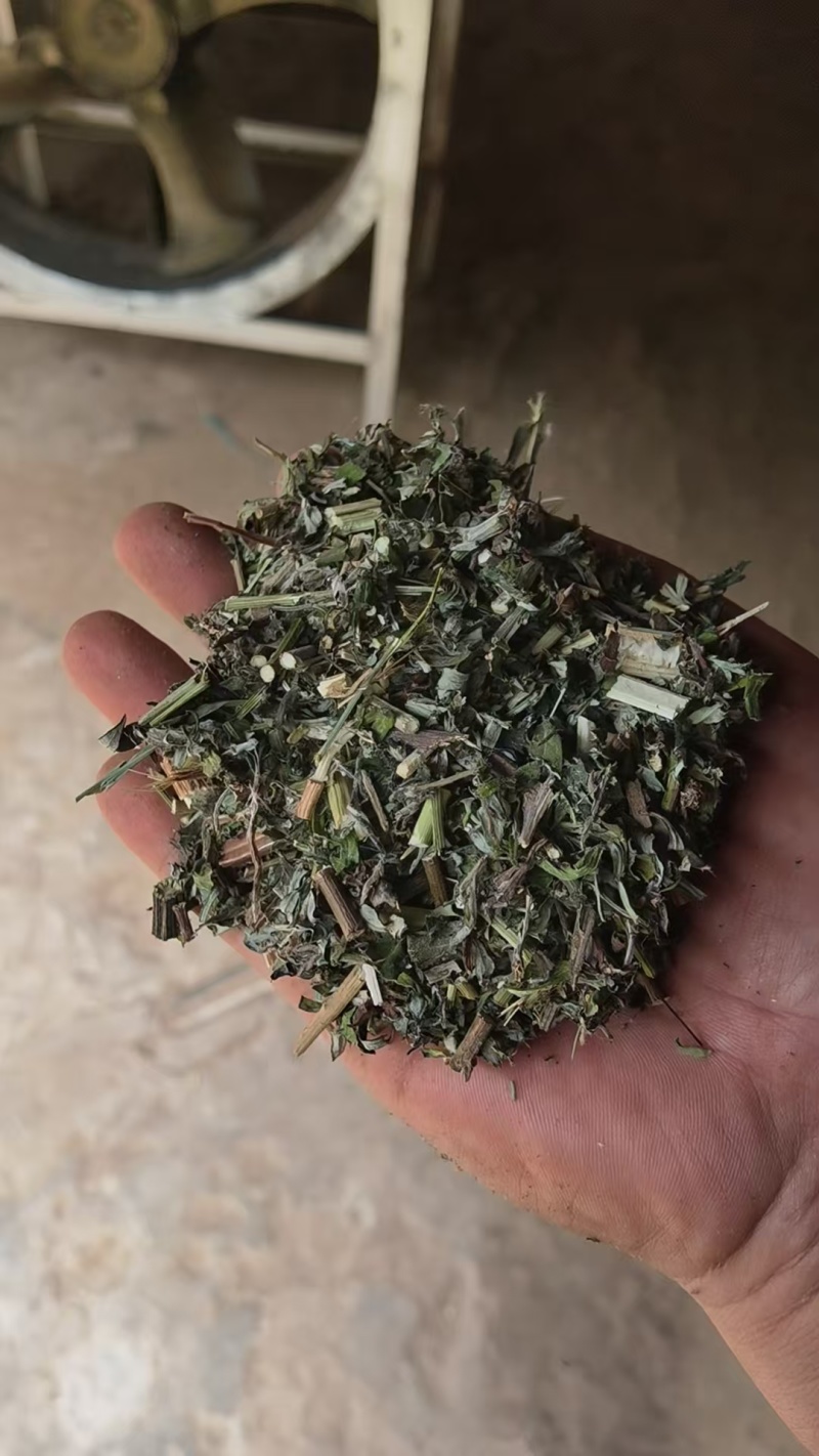 艾段全棵切片泡澡泡脚实惠大包装欢迎各大厂
