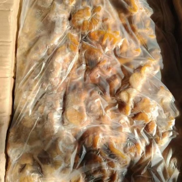 鲜马肠子大肠中肠质量好价格低量大可议