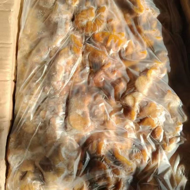 鲜马肠子大肠中肠质量好价格低量大可议