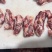 纯干腹肉条