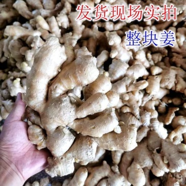 生姜