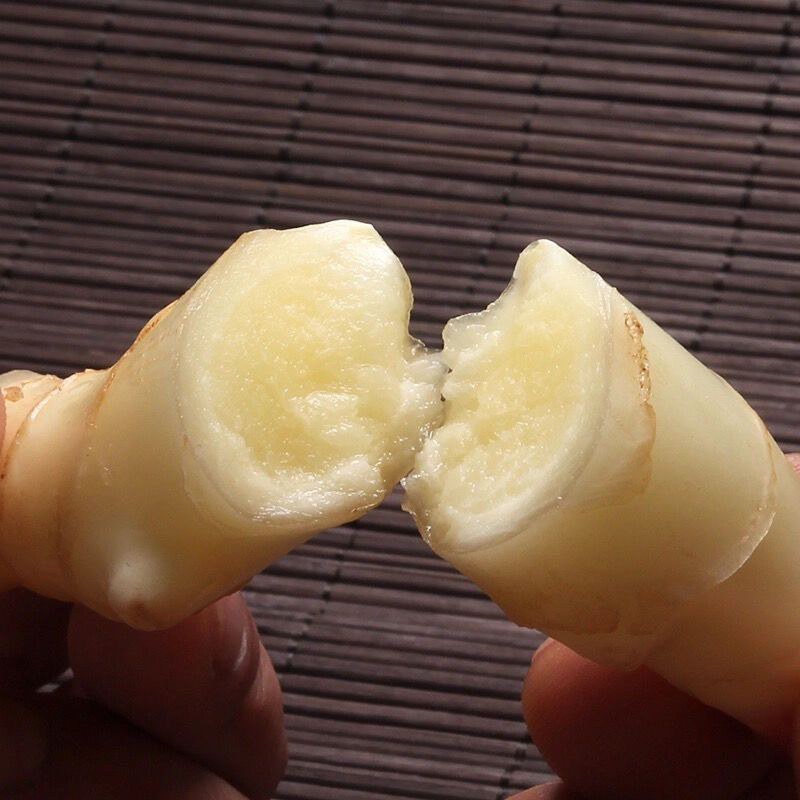 生姜