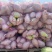 贵族南瓜产地直发包甜包面量大优惠品质保障