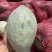 贵族南瓜产地直发包甜包面量大优惠品质保障