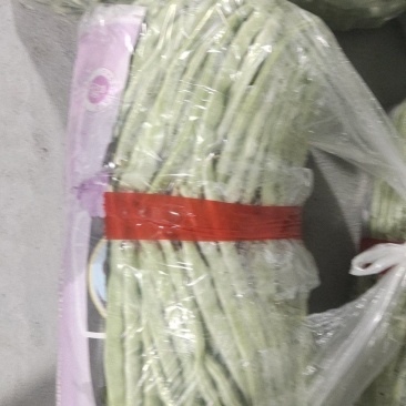 白芸豆