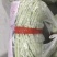 白芸豆