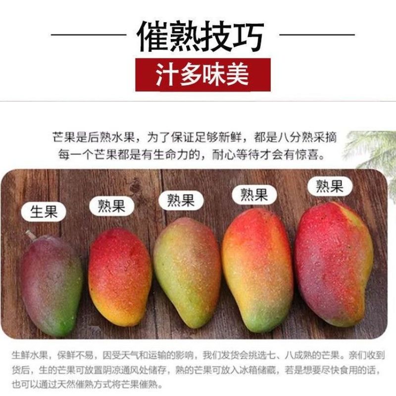 贵州兴义贞丰鲁容芒果