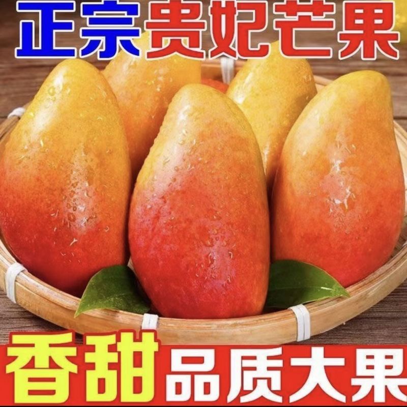 贵州兴义贞丰鲁容芒果
