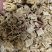 丢了棒正品丢了棒批发零售量大优惠